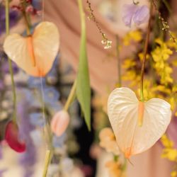 キンプトン新宿東京の写真2枚目