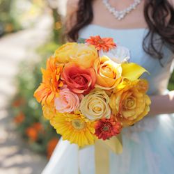 アニヴェルセル 豊洲の写真14枚目