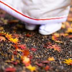 八芳園の写真24枚目