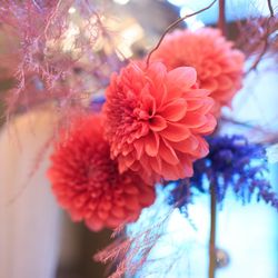 赤坂プリンス クラシックハウスの写真15枚目