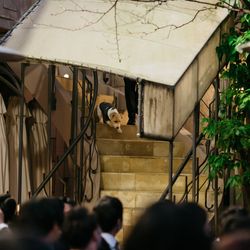 Q.E.D.CLUBの写真9枚目