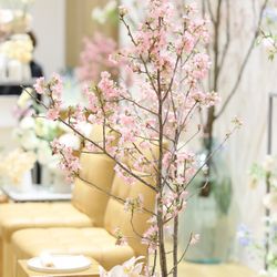 TRUNK HOTELの写真36枚目