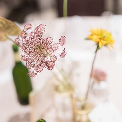 ウィズザスタイルフクオカ の写真21枚目