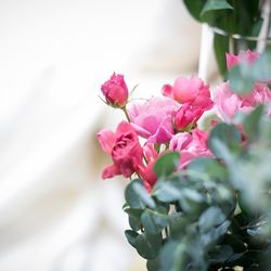 アニヴェルセル 長野の写真22枚目