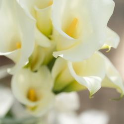 オーシャンプレイスの写真19枚目