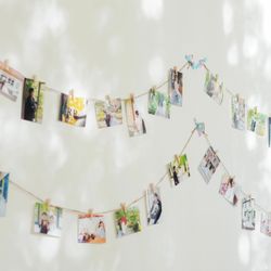 ザ・メイビア宮崎の写真34枚目