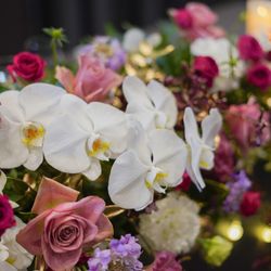 ザ・メイビア宮崎の写真2枚目