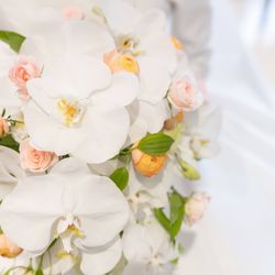 アートグレイス ウエディングコースト 東京ベイの写真22枚目