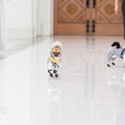 アートグレイス ウエディングコースト 東京ベイの写真9枚目