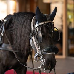 ウェスティンホテル東京の写真4枚目
