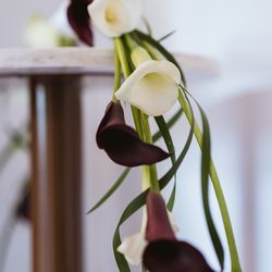 赤坂プリンス クラシックハウスの写真17枚目