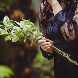 赤坂プリンス クラシックハウスの写真19枚目