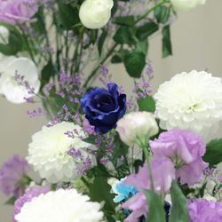 ララシャンスガーデン 東京ベイの写真23枚目