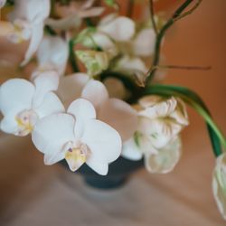 長良天神神社の写真18枚目