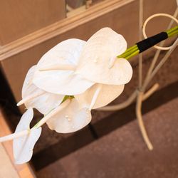 アプローズスクエア 名古屋迎賓館の写真18枚目