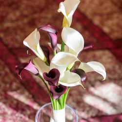 ザ・コンダーハウスの写真2枚目