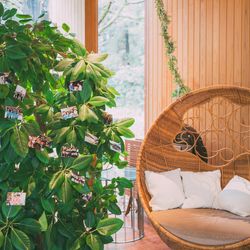 鶴見ノ森 迎賓館の写真14枚目