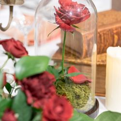 麻布迎賓館の写真5枚目