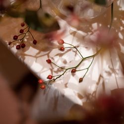 星野リゾート 軽井沢ホテルブレストンコートの写真19枚目