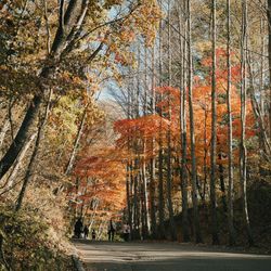 星野リゾート 軽井沢ホテルブレストンコートの写真10枚目