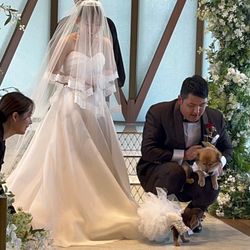 ザ・マークグランドホテルの写真1枚目