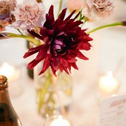 宮の森フランセス教会の写真24枚目