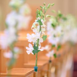 リーガロイヤルホテル大阪 ヴィニェット コレクションの写真16枚目