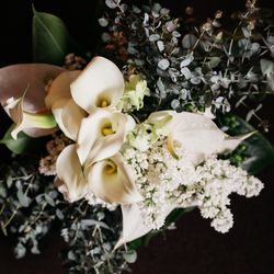 ザ リュクス 銀座の写真13枚目