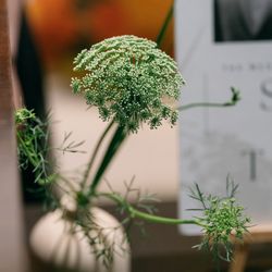 ザ ソウドウ 東山 京都の写真6枚目