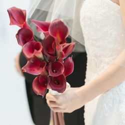 ラソールガーデン名古屋の写真10枚目