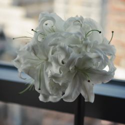 グランド ハイアット 東京の写真16枚目