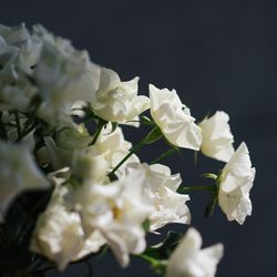 パレスホテル東京の写真10枚目