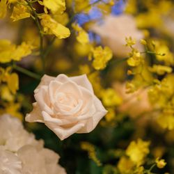 オリエンタルホテル 神戸・旧居留地の写真3枚目