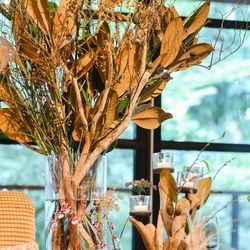 ザ ナンザンハウスの写真5枚目