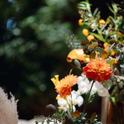 鶴見ノ森 迎賓館の写真26枚目