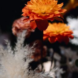 鶴見ノ森 迎賓館の写真11枚目