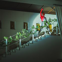 ザ・ミーツ マリーナテラスの写真28枚目