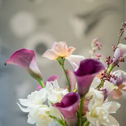 Mia Viaの写真10枚目