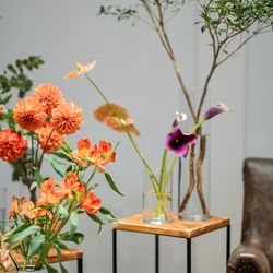 Mia Viaの写真13枚目