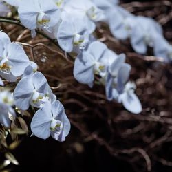 グランド ハイアット 東京の写真4枚目