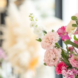 ノートルダム広島の写真4枚目