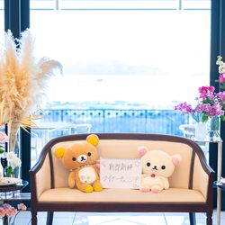 ノートルダム広島の写真34枚目