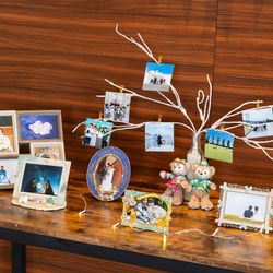 マンダリンポルトの写真1枚目