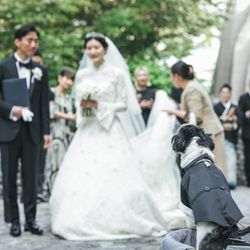 石の教会 内村鑑三記念堂の写真32枚目