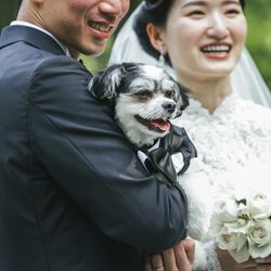 石の教会 内村鑑三記念堂の写真36枚目