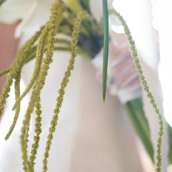 鶴見ノ森 迎賓館の写真35枚目