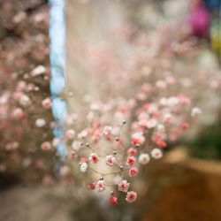 鶴見ノ森 迎賓館の写真5枚目
