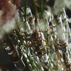 キンプトン新宿東京の写真24枚目