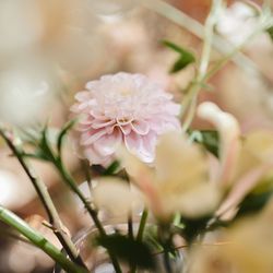 キンプトン新宿東京の写真14枚目