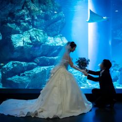 品川プリンスホテルの写真22枚目